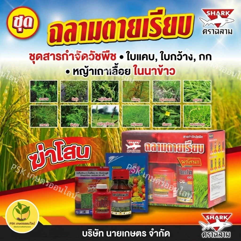 ฉลามตายเรียบ ชุดสารกำจัดวัชพืชในนาข้าว (บิสไพริแบค+ไตรโครเพอร์+นางงาม+มิกซ์ สปริ้น)กำจัดหญ้าได้ทุกชนิด
