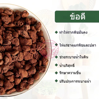 หินลาวาแดง หินลาวาดำ วัสดุกรองตู้ปลา บ่อปลา จากธรรมชาติ จมน้ำ มีรูพรุนสูง ช่วยเป็นที่อยู่ของแบคทีเรียได้เป็นอย่างดี