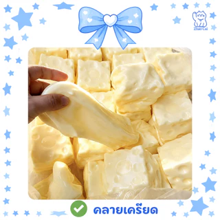 【ส่งจากไทย】Cheese Squishy ชีสบีบคลายเครียด ล้างน้ำได้ ไม่ต้องซื้อใหม่ 🧀 เนื้อแน่นหนึบ ไม่มีไส้จิ้มมือ บีบฟินทั้งวัน
