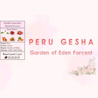เมล็ดกาแฟคั่วอ่อน Peru Garden of Eden Farcent Gesha | Double Anaerobic Washed | Light Roast | BrewNest Roaster Lab