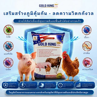 GOLD KING USA วิตามินเร่งโต สำหรับหมู ไก่ เป็ด วัว ดูดซึมไว ไม่มีสารต้องห้าม