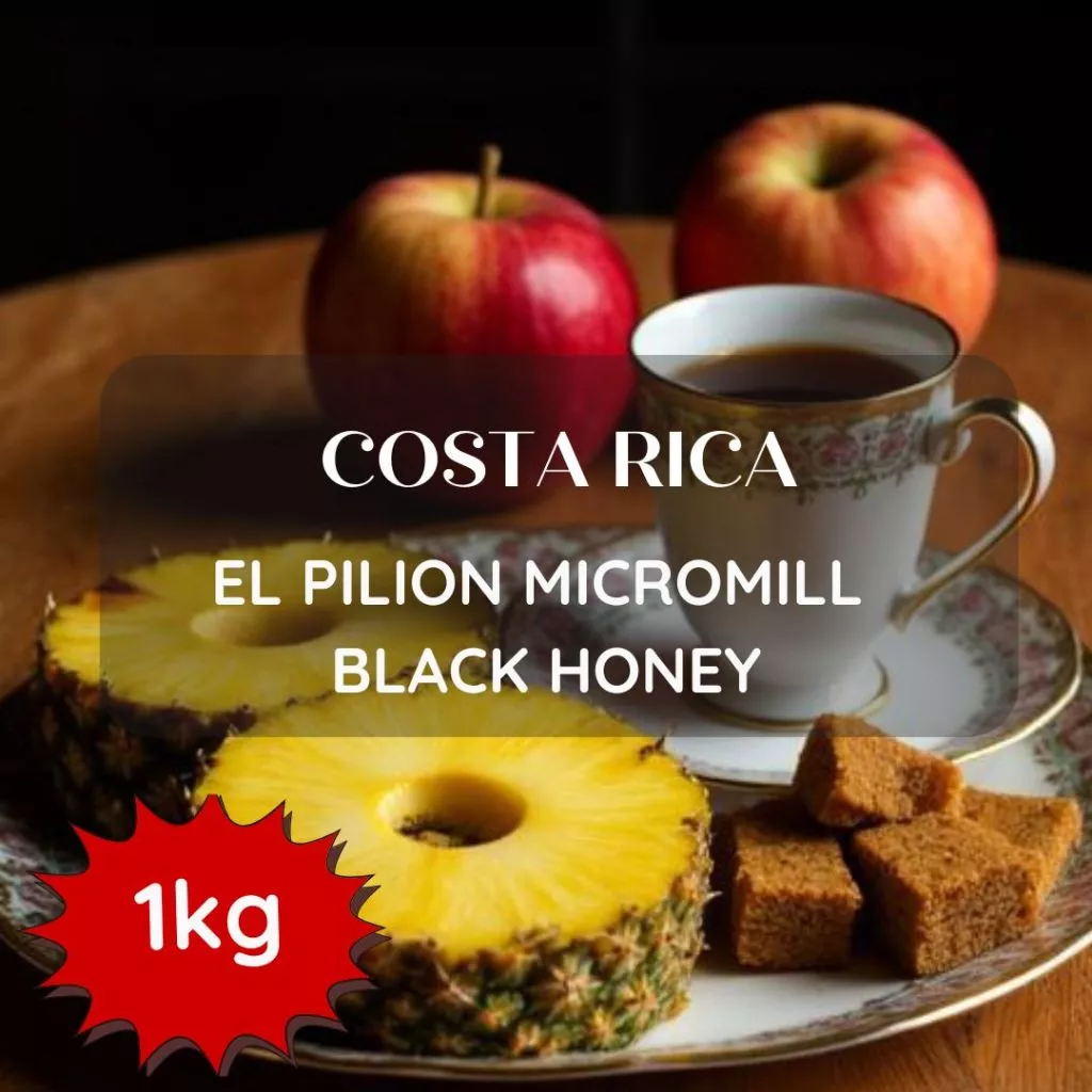 สารเมล็ดกาแฟ Costa Rica El Pilion Micromill Black Honey ขนาด 1000g
