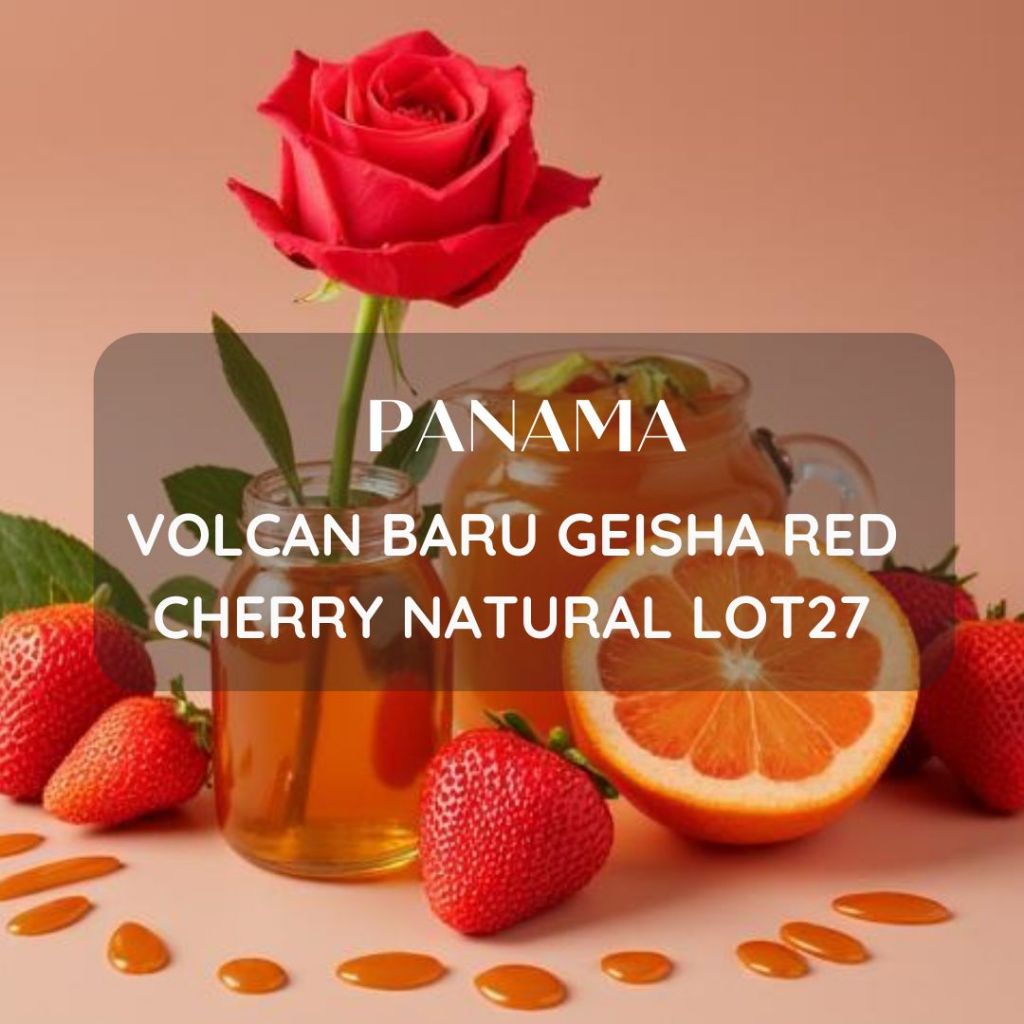 สารเมล็ดกาแฟ Panama Volcan Baru Geisha Red Cherry Natural - Lot27