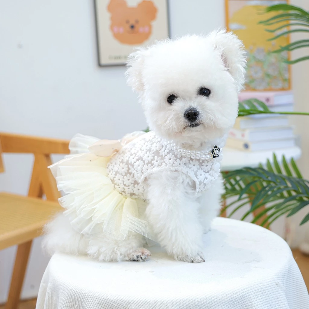 DoggyDolly ชุดสูทหมา ชุดเจ้าสาวหมาแมว ชุดแต่งงานสัตว์เลี้ยง thumbnail 7