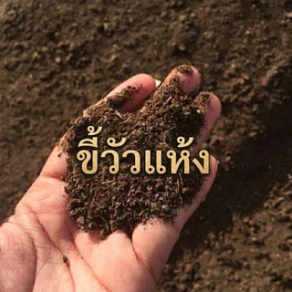 🐄🌱 ขี้วัวแห้งคุณภาพ บรรจุกระสอบ พร้อมส่ง! 15 กิโลกรัม