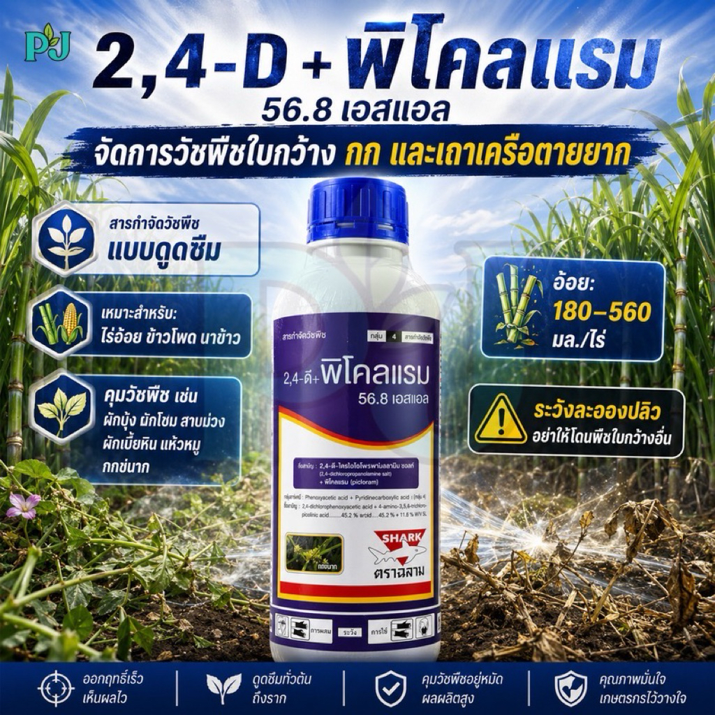 2,4-D + พิโคลแรม ตราฉลาม สารกำจัดวัชพืชสูตรผสมประเภทดูดซึม ที่นิยมใช้ในการกำจัดวัชพืชใบกว้าง ขนาด 1 ลิตร
