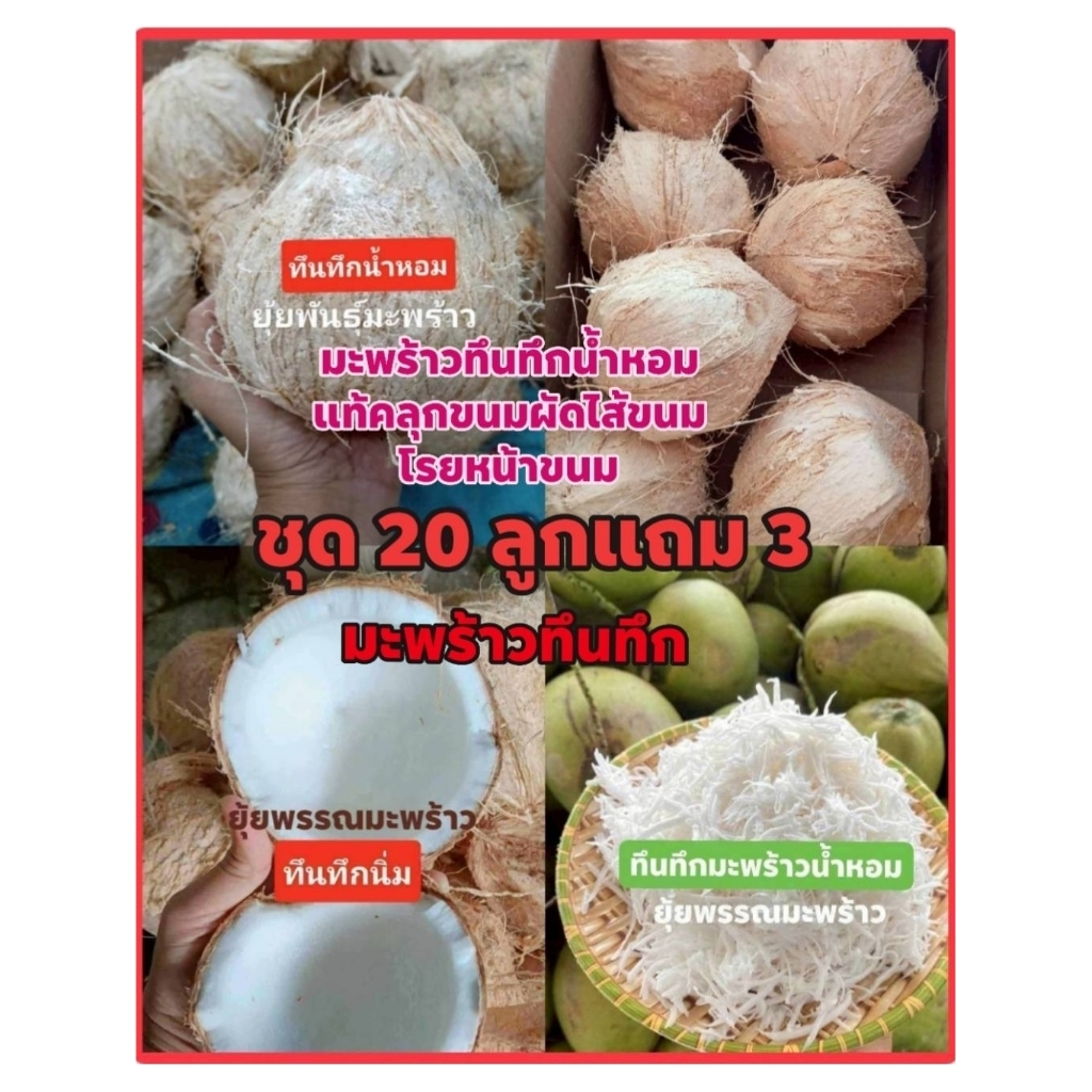 ชุด(20แถม3)มะพร้าวทึนทึก คลุกขนมผัดไส้ขนมโรยหน้าขนมมะพร้าวทึนทึกน้ำหอมแท้ 100% หอมนุ่มหวานมันอร่อยมาก