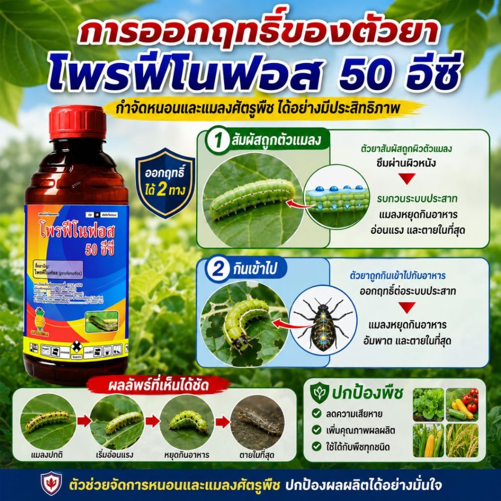 โพรฟีโนฟอส 50 อีซี ยากำจัดแมลงศัตรูพืช หนอนกินใบ รูปที่ 2