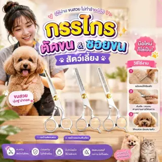 Boqi Factory กรรไกรตัดขน + กรรไกรซอยขนสัตว์เลี้ยง สแตนเลส สำหรับสุนัขและแมว มีให้เลือก 2 แบบ Scissors
