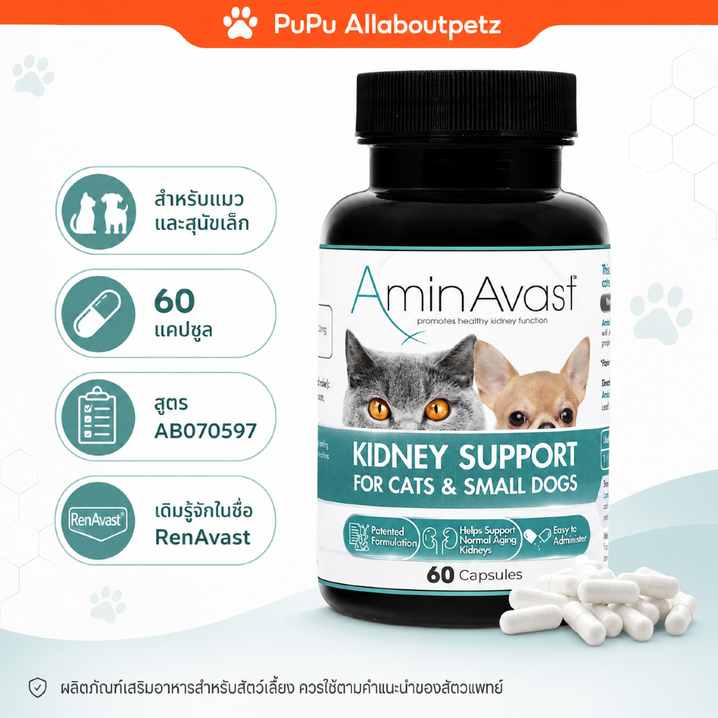 AminAvast **พร้อมส่ง✅ ตัวเดียวกับ Renavast for cat เรนอวาส วิตามินบำรุงไต สำหรับแมว ของแท้100% ถูกที่สุด พร้อมส่งจากไทย