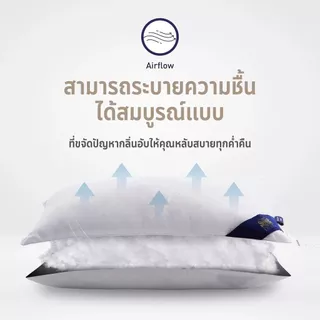 LOTUS หมอนหนุน ขนาด 20 x 30 นิ้ว รุ่น MicroDownia รองรับต้นคอ หลับสบายทุกคืน เสมือนหมอนขนอ่อนห่าน