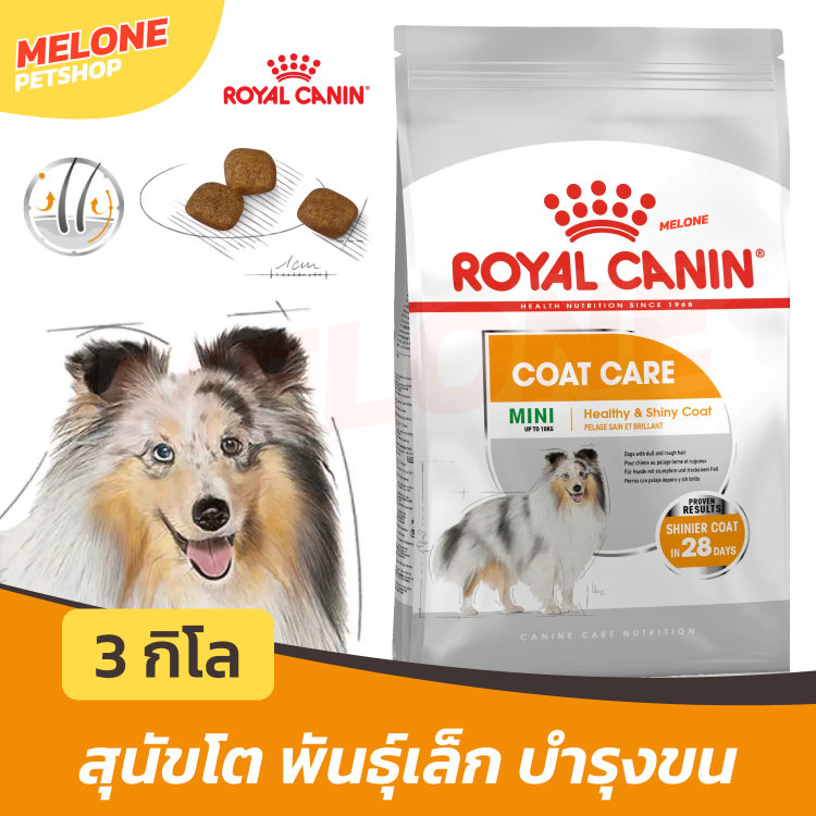 Royal Canin Mini Coat Care โรยัล คานิน อาหารสุนัข พันธุ์เล็ก ดูแลเส้นขน บำรุงขน ลดขนร่วง 3 kg