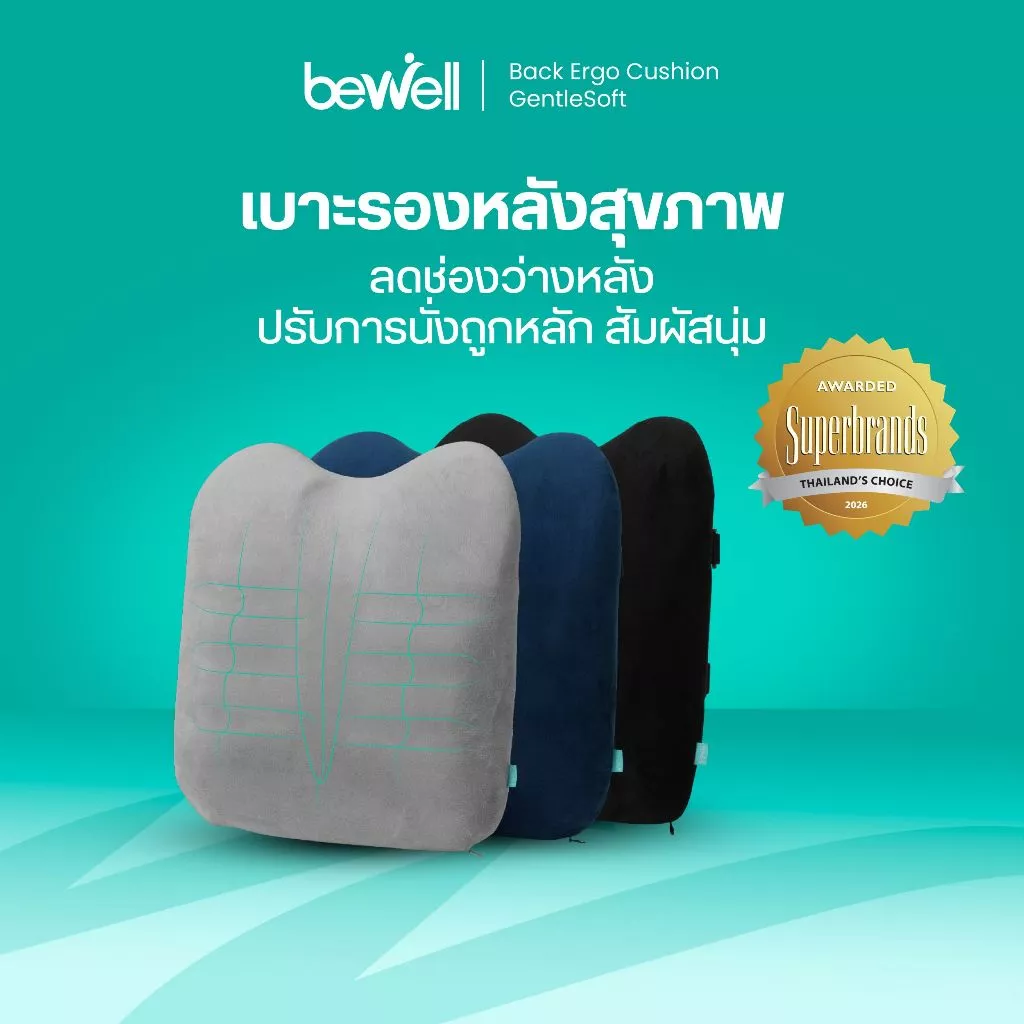 Bewell Ergo Cushion เบาะรองหลังสุขภาพ ซัพพอร์ตหลังตรง พิงนุ่มสบาย ลดปวดเมื่อยทุกจุด รับประกัน 3 ปี