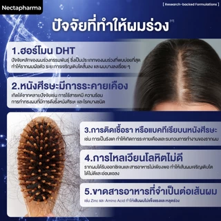 [2 ขวด] Intensive Hair Serum เซรั่มลดผมร่วง ผมบาง เพิ่มผมใหม่ จาก Nectapharma ใส่ Redensyl Procapil Capixyl