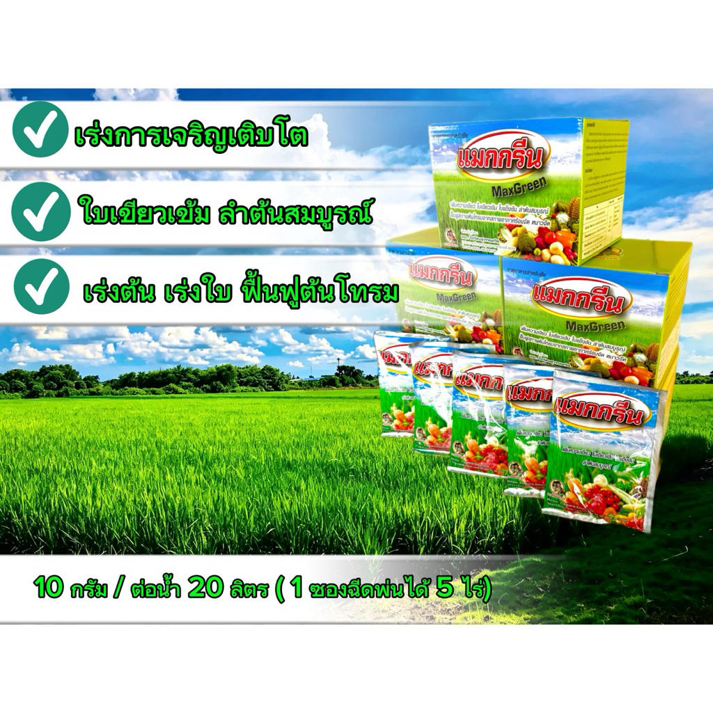 อาหารเสริมพืช   แมกกรีน  100 กรัม(1ซอง) แมกนีเซียม+สังกะสี  เร่งต้น เร่งใบ ใบเขียวเข้ม ลำต้นสมบูรณ์ ใช้ได้กับทุกพืช