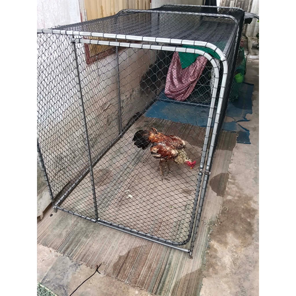 ลู่วิ่งไก่เหล็กกล่อง 4 หุน ขนาด รูปที่ 6