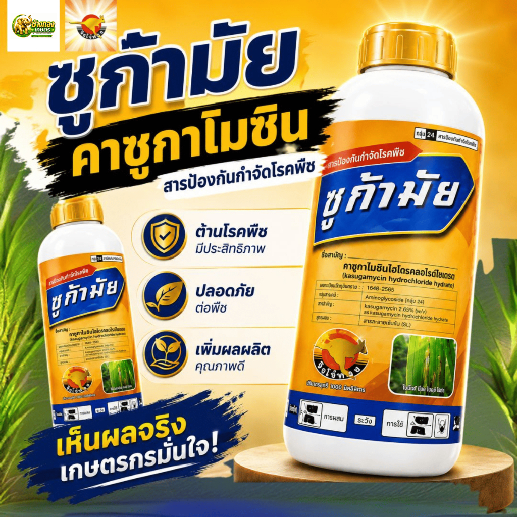 ซูก้ามัย ยกลัง (12ลิตร) กำจัดโรคพืช เชื้อรา และ แบคทีเรีย คาซูกาไมซิน 2% SL