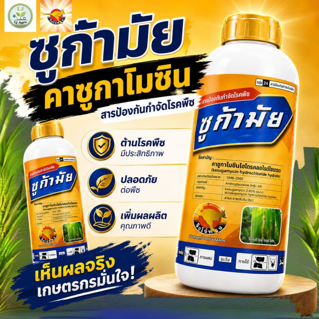 ชูก้ามัย #คาซูกามัยซิน ขนาด 1 ลิตร (จิงโจ้ทอง) สารป้องกันและกำจัดโรคพืช #แอลเจอะโกร