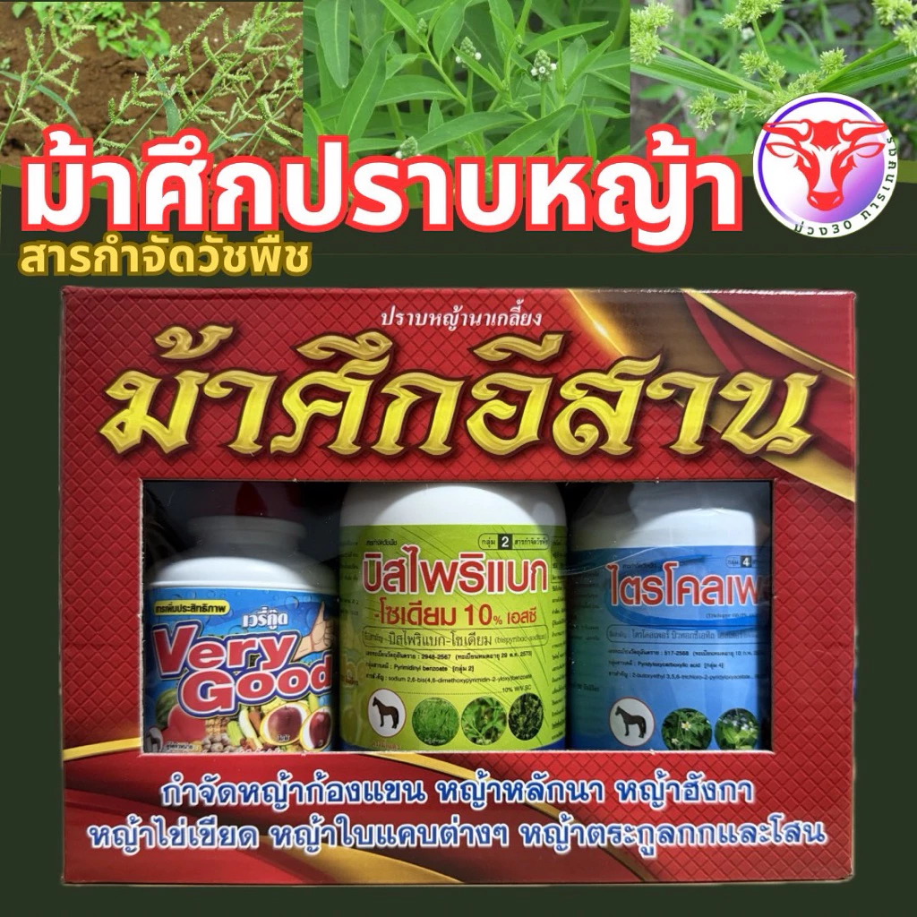 ✅ ม้าศึกอีสาน ปราบหญ้านาเกลี้ยง กำจัดโสนหิน โสนแดง ไมยราบ หญ้าเถาเลื้อย หญ้าใบแคบ ใบกว้าง กกต่างๆ ที่ดื้อยา