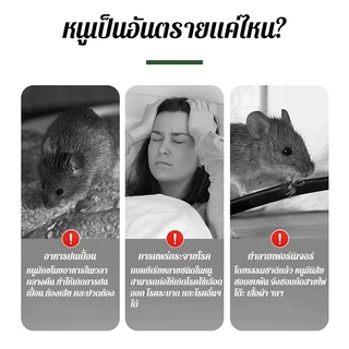 สเปรย์ไล่หนู กันหนู สเปรย์ไล่หนูในห้องเครื่องรถยนต์ ไล่หนูในบ้าน สมุนไพรไล่หนู ปลอดภัยต่อสัตว์เลี้ยง
