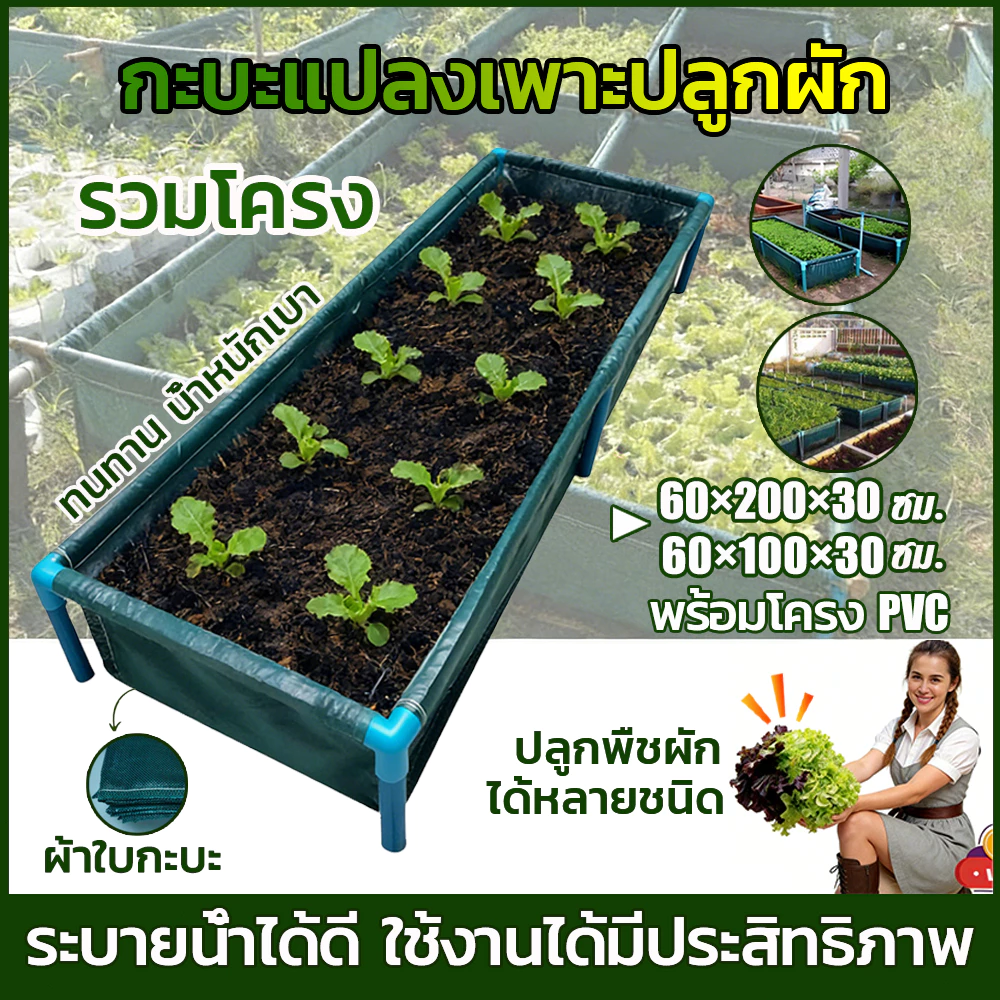 【สินค้าพร้อมส่ง】กระบะปลูกผักสวนครัว แปลงปลูกผัก ขนาด 60x200x30 cm แปลงผักเพาะปลูก กะบะเพาะปลูก
