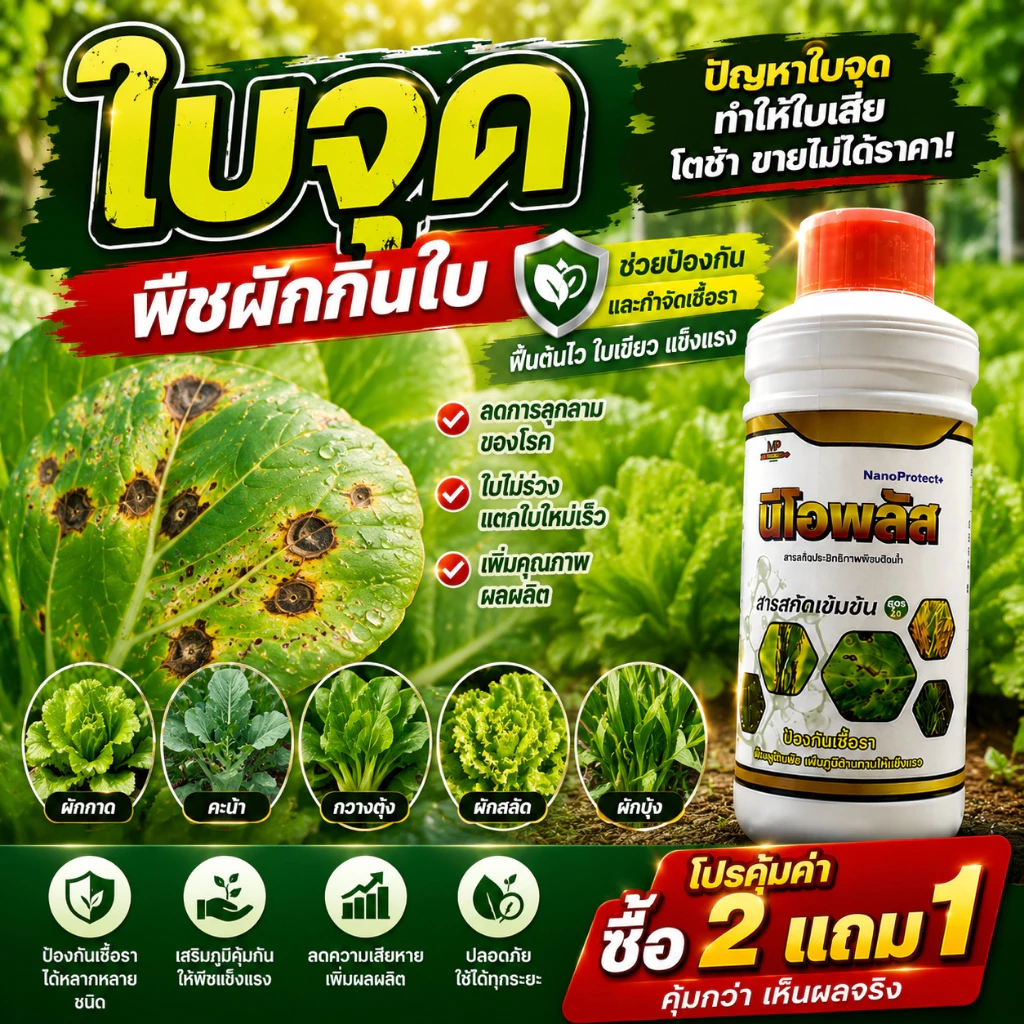 นีโอพลัส สูตรแก้ใบด่างใบจุด ใบซีด ใบหงิก พร้อมกันเชื้อรา ชุดฟื้นพืชโทรม เสริมภูมิพืช ป้องกันใบจุดใบไหม้