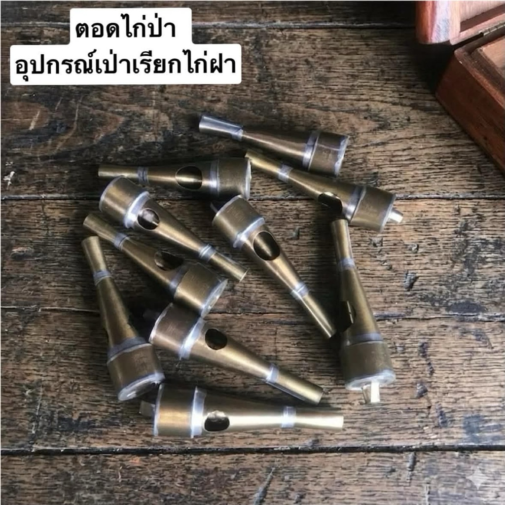 ตอดไก่ป่า ตอดเป่าเรียกไก่ป่า💢ส่งด่วน💢 เสียงดีมาก ราคาถูก มีทั้ง1รูและ2รู✅ออกใบกำกับภาษีได้ค่ะ💯