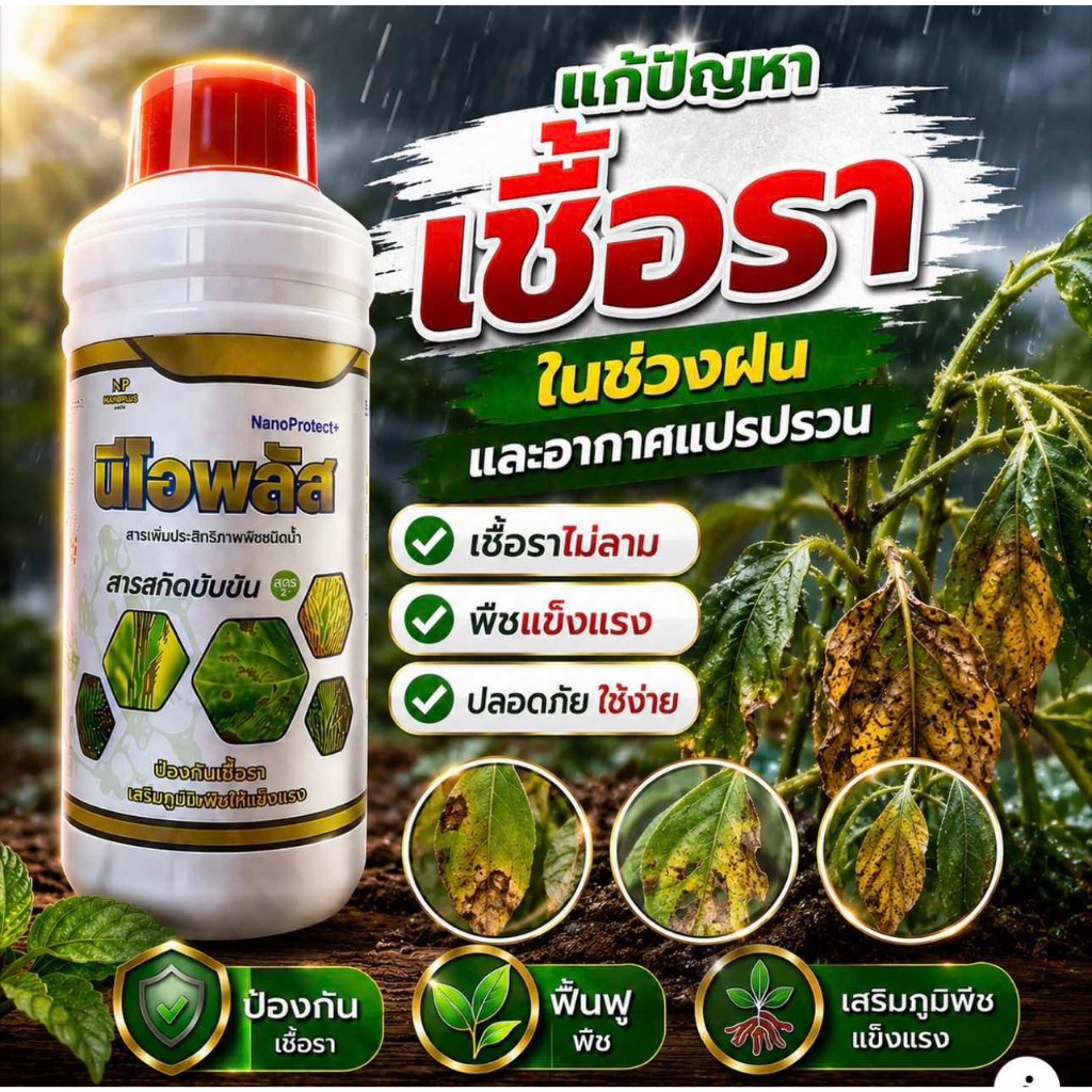 นีโอพลัส สูตรป้องกันและยับยั้งเชื้อราได้หลายชนิด เช่น ใบไหม้