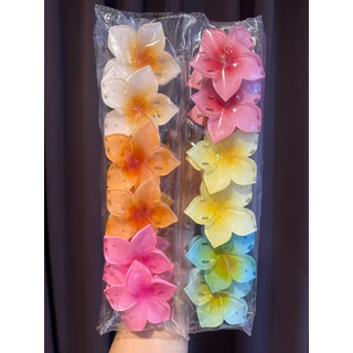 กิ๊บหนีบผมด้านหลัง กิ๊ฟแบบงับ สีพื้น /สีใส 12ชิ้น สินค้าพร้อมส่ง