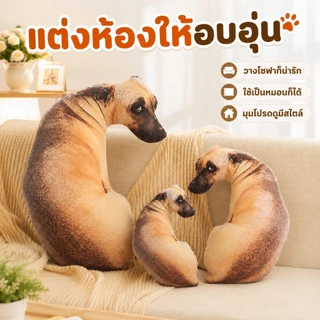 COD✨หมอนตุ๊กตา ของเล่นสําหรับเด็ก ผู้ใหญ่ หมอนสุนัขจำลอง 3D ของเล่นตุ๊กตาสุนัข เบาะตุ๊กตาสุนัขจำลอง