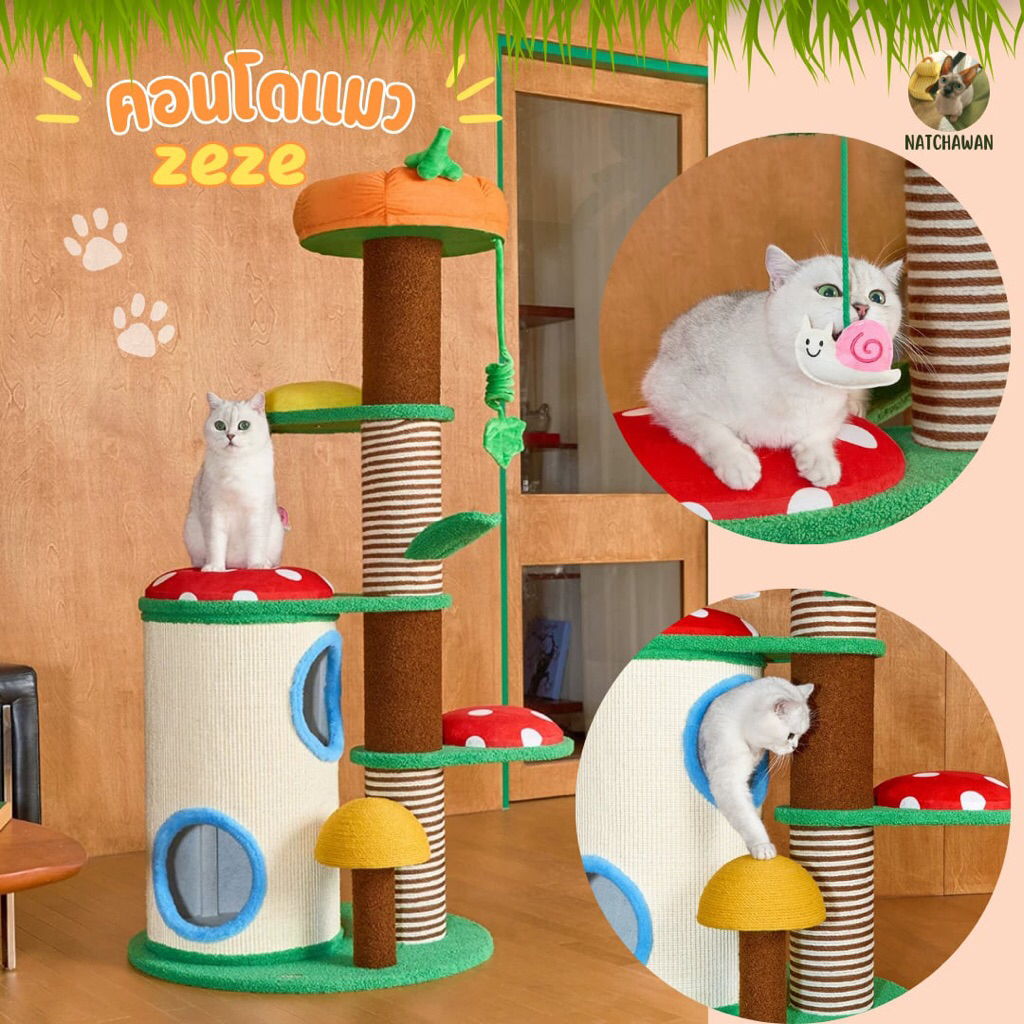 😸zeze คอนโดแมว บ้านแมว ที่ลับเล้บแมว