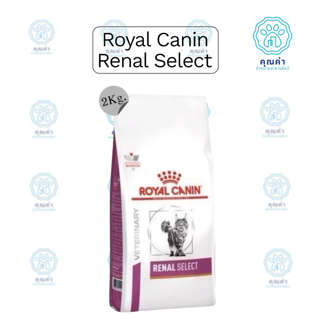 Royal Canin (RENAL SELECT)(2kg) อาหารแมว  สำหรับแมวที่เป็นโรคไตเรื้อรัง ชนิดเม็ด