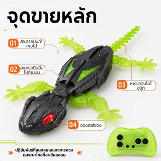 Climber Gecko หุ่นยนต์ของเล่น, LED Eyes ชาร์จ Wall Climbing RC Lizard ของเล่น, รีโมทคอนโทรลที่สมจริงแมลงสาบ Spider