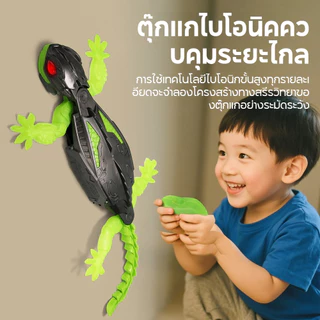 Climber Gecko หุ่นยนต์ของเล่น, LED Eyes ชาร์จ Wall Climbing RC Lizard ของเล่น, รีโมทคอนโทรลที่สมจริงแมลงสาบ Spider