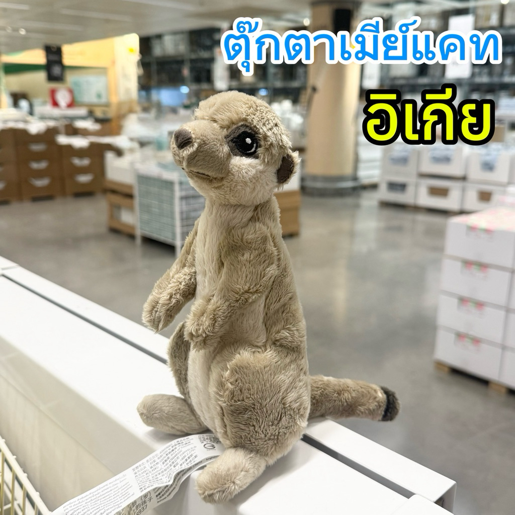 [IKEAแท้] ตุ๊กตาผ้า น้องเมียร์แคท/เบจ 20 ซม.