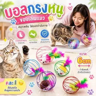 Boqi factory บอลกรงหนู บอลของเล่นแมว ( คละสี ) TT01