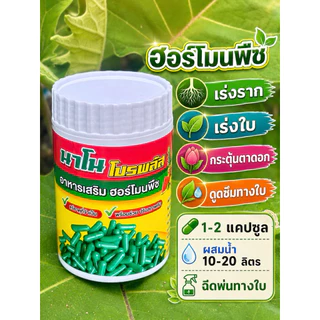 นาโนโปรพลัส นาโนพืช แร่ธาตุ อาหารหลักพืช 1 ขวด 100 เม็เ