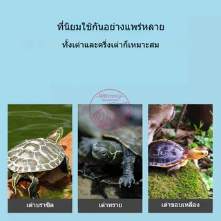 แทงค์เลี้ยงเต่า คุณภาพดี อ่างเลี้ยงเต่า กระบะเลี้ยงเต่า สำหรับเต่าน้ำ เต่าญี่ปุ่น มีหลายแบบ