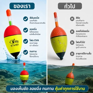 5-80g EVA โฟมตกปลา สําหรับตกปลาคาร์พ เบส Bobber Bobbers ตกปลาลอย