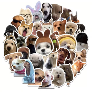 [ตะกร้าแถม] Free Random Sticker (1 pc) | Free over ฿150 สติ๊กเกอร์ของสมนาคุณ 1 ชิ้น (คละแบบ) | ฟรีเมื่อซื้อครบ ฿150