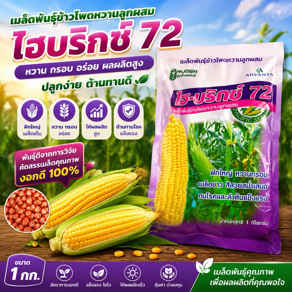 เมล็ดพันธุ์ข้าวโพดหวาน ไฮบริกซ์ 72 ขนาด 1 กก. ข้าวโพดหวานลูกผสม ฝักใหญ่ หวานนุ่ม เมล็ดพันธุ์ตราแปซิฟิก (15/8/69)