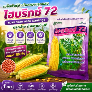 เมล็ดพันธุ์ข้าวโพดหวาน ไฮบริกซ์ 72 ขนาด 1 กก. ข้าวโพดหวานลูกผสม ฝักใหญ่ หวานนุ่ม เมล็ดพันธุ์ตราแปซิฟิก (15/8/69)