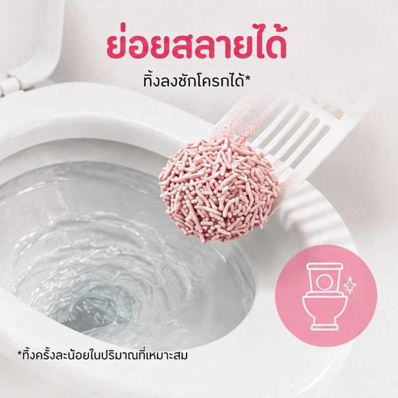 ทรายแมวเต้าหู้ ทรายแมว 6 ลิตร ผลิตจากกากถั่วเหลืองธรรมชาติ ไม่ติดเท้า สินค้าคุณภาพ ปลอดภัย thumbnail 5