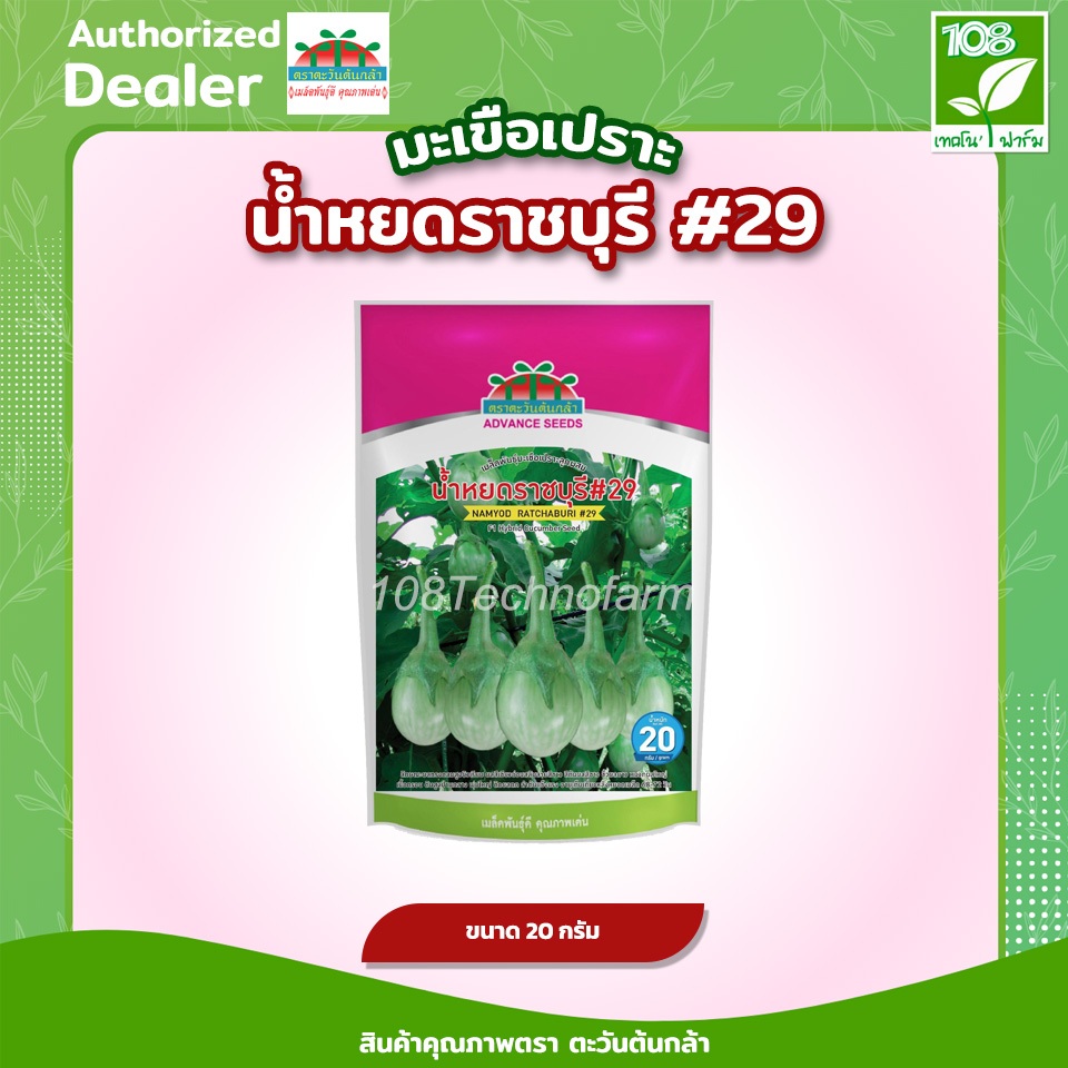 เมล็ดพันธุ์ มะเขือเปราะลูกผสม น้ำหยดราชบุรี 29 ตรา ตะวันต้นกล้า( 20 กรัม )( 50 กรัม )
