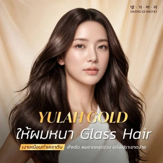 [Combo Set] DAENG GI MEO RI แชมพูลดผมร่วง แทงกีโมรี YULAH GOLD Anti-Hair Loss Glass Hair Shampoo/Treatment
