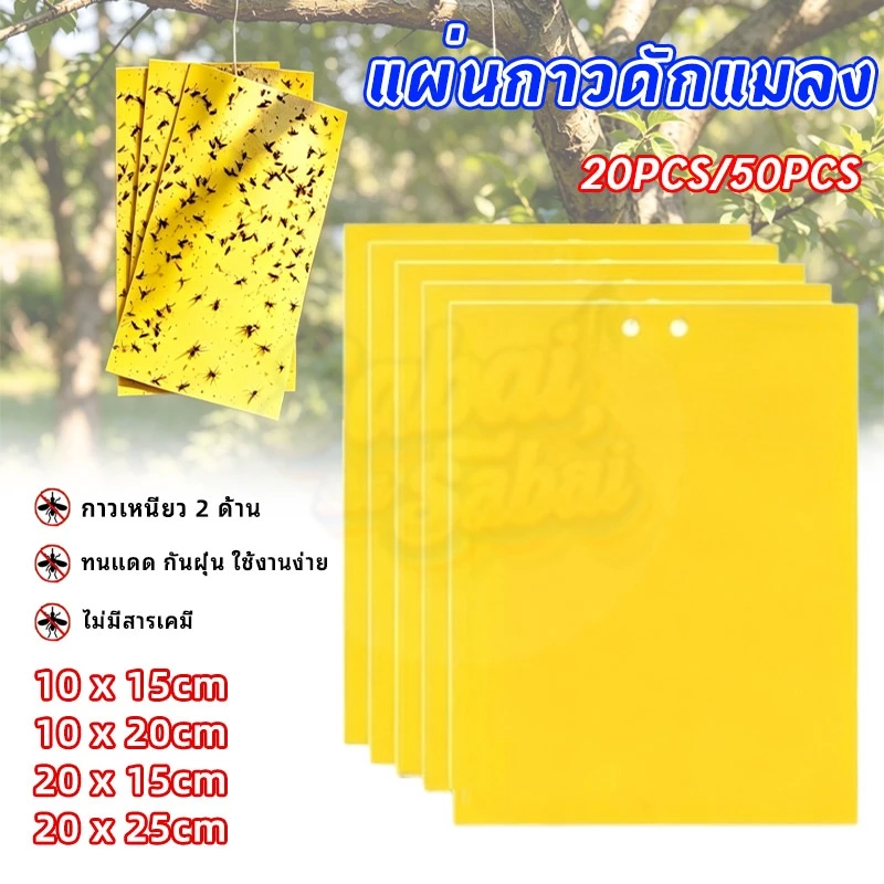 แผ่นกาวดักแมลงวันทองสีเหลือง สองด้านมีกาวในตัว ทนแดด หลายขนาด แพ็ค 20/50 แผ่น ดักศัตรูพืชสวน