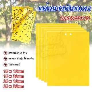 แผ่นกาวดักแมลงวันทองสีเหลือง สองด้านมีกาวในตัว ทนแดด หลายขนาด แพ็ค 20/50 แผ่น ดักศัตรูพืชสวน