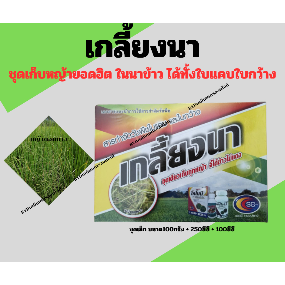 เกลี้ยงนา (ชุดเล็ก)  กำจัดวัชพืชได้ทั้งใบแคบ ใบกว้าง และกก ในนาข้าว *สั่ง2ชุดแถมเสื้อทำงาน1ตัว