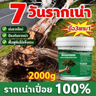 🔥รากเน่ารากไม่ขึ้นอีก🔥 ยากำจัดต้นไม้ใหญ่ 500g สารกำจัดกอไผ่ ผงกำจัดต้นไผ่ ยาฆ่าตอไม้ กำจัดวัชพืชรากเน่า