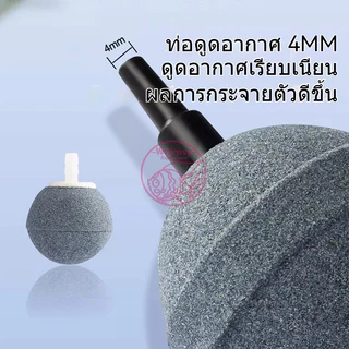 หัวทรายเพิ่มออกซิเจนสำหรับตู้ปลา ตู้กุ้ง สัตว์น้ำทุกชนิด ฟองแรง ออกทุกรู ฟองไม่ใหญ่เกินไป ปลาไม่ตกใจ